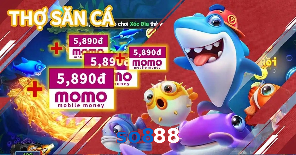 so888