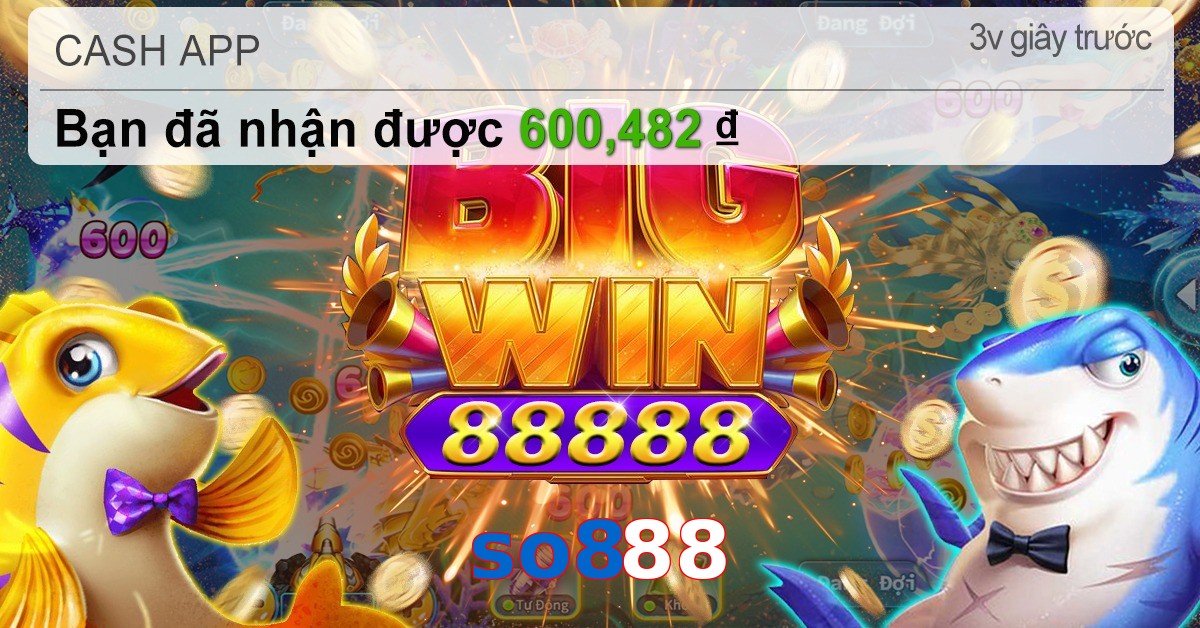 so888